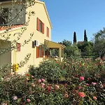 Maria Pula